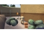 Скриншот 4: Planet 51 (Wii)