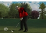 Скриншот 7: Tiger Woods PGA Tour 09 (Wii)