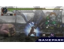 Скриншот 7: Monster Hunter Freedom 2