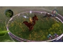 Скриншот 2: Sacred 2: fallen angel (PS3)