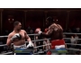 Скриншот 5: Fight Night Round 4 (PS3)