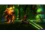 Скриншот 5: Kingdoms of Amalur: Reckoning (PC)