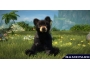 Скриншот 2: Kinectimals. Now with Bears! (Xbox 360)