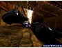Скриншот 8: Burnout Revenge (PS2)