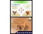 Скриншот 4: Nintendogs Labrador & Friends (DS)