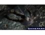 Скриншот 3: Tomb Raider (PS3)