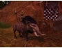 Скриншот 3: Warhammer Online: Время возмездия Коллекция (PC-DVD, рус. вер.)