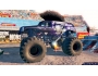 Скриншот 2: Monster Jam: Path of Destruction (Wii)