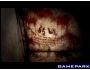 Скриншот 8: Silent Hill 2 (PS2)