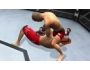 Скриншот 2: UFC 2010 Undisputed (PSP)