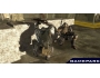 Скриншот 8: Army of Two (Xbox 360)