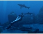 Скриншот 4: Tomb Raider: Underworld (PS2)