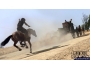 Скриншот 5: Red Dead Redemption (PS3)