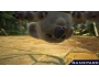 Скриншот 1: Kinectimals. Now with Bears! (Xbox 360)