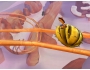 Скриншот 3: Crash: Mind over Mutant (Wii)