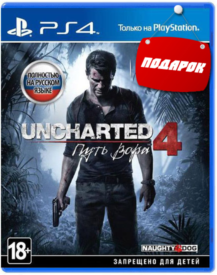 uncharted-4-a-thiefs-end-ps4-01 copy.jpg