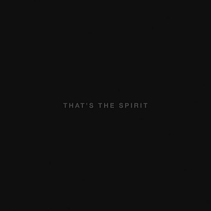 Виниловая пластинка Bring Me The Horizon – Thats The Spirit (LP + CD)
Виниловая пластинка Bring Me The Horizon – Thats The Spirit (LP + CD)