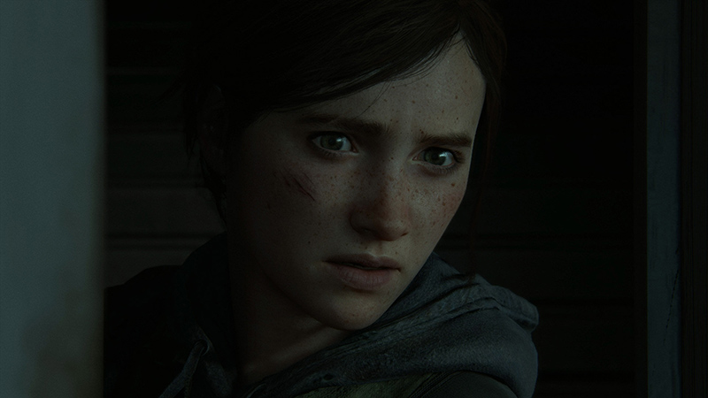 The last of us 2 special edition box sale