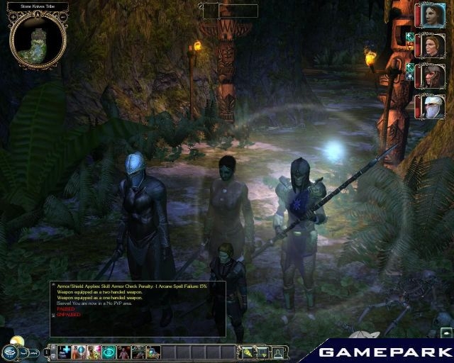 Neverwinter nights 2 storm of zehir карта