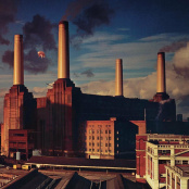 Виниловая пластинка Pink Floyd – Animals 180g (2025 Reissue) (LP)