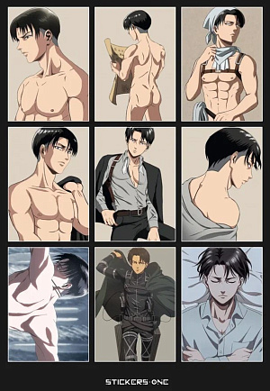 

Стикерпак Levi
