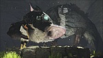 Скриншот The Last Guardian Collector's Edition (PS4), 10
