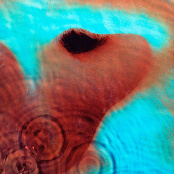 Виниловая пластинка Pink Floyd – Meddle [180 Gram] (LP)