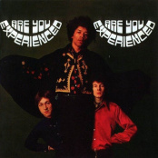 Виниловая пластинка Jimi Hendrix – Are You Experienced (2 LP)
