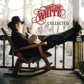 Виниловая пластинка Tony Joe White – Collected (2 LP)