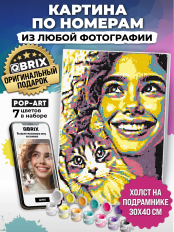 Картина по номерам из любой фотографии Qbrix Pop-Art (30x40 см.)