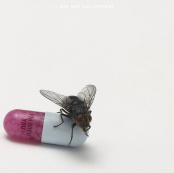 Виниловая пластинка Red Hot Chili Peppers. I’m with You (2 LP)