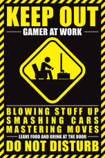 Постер Maxi Pyramid – Gamer At Work