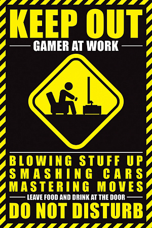 

Постер Maxi Pyramid – Gamer At Work
