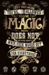 Постер Maxi Pyramid – Harry Potter (Magic) (61 x 91 см)