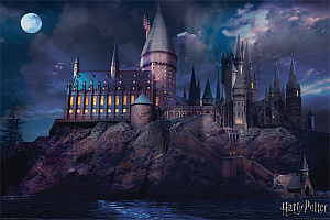 

Постер Maxi Pyramid – Harry Potter (Hogwarts) (61 x 91 см)