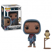 Фигурка Funko POP! Vinyl: Games: Destiny S2: Hawthorne w/ Hawk 30106