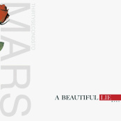 Виниловая пластинка Thirty Seconds To Mars – A Beautiful Lie (LP)