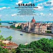Виниловая пластинка Vienna Opera Orchestra – Johann Strauss Famous Waltsez From Vienna (LP)