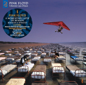 Виниловая пластинка Pink Floyd – A Momentary Lapse Of Reason: Remixed & Updated (2 LP)