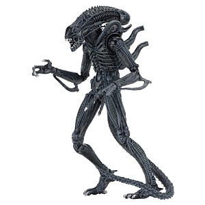

Фигурка Aliens (1986): Ultimate Edition - Blue Warrior Xenomorph (0634482516478)
