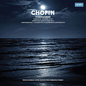 

Виниловая пластинка Сборник – Frederic Chopin – Pianoworks (LP)