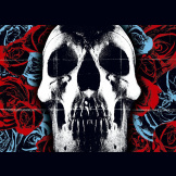 Виниловая пластинка Deftones – Deftones (LP)