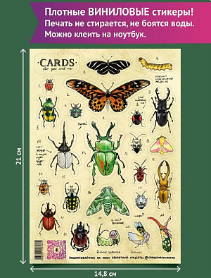 

Стикерпак Жуки